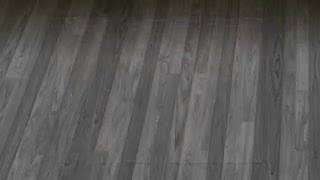 Esplande St Ny 12158 Jean Hendrickson 1,750