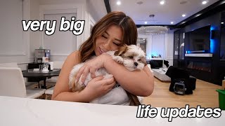 i'm back & very big life updates