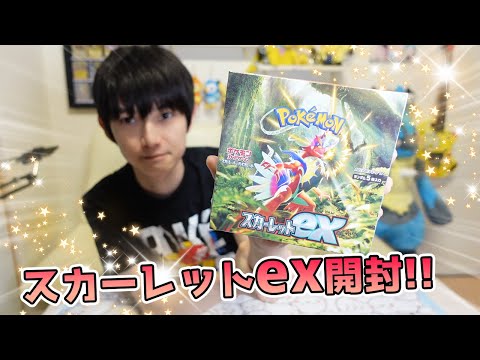 【ポケカ】新弾開封！スカーレットex【本郷奏多の日常】