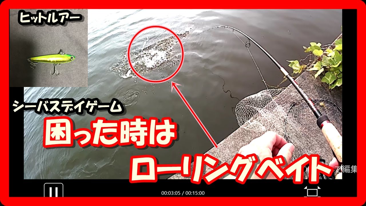 シーバス ルアー デイゲームはやっぱりローリングベイト シーバス釣り 河川編 春 夏 秋 Youtube