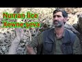 Numan Lice Xewne şeva Numan Lice Xewne şeva
