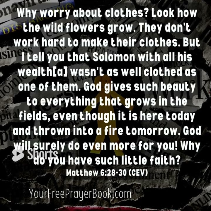 this-week-s-prayer-scripture-matthew-6-28-30-worry-youtube