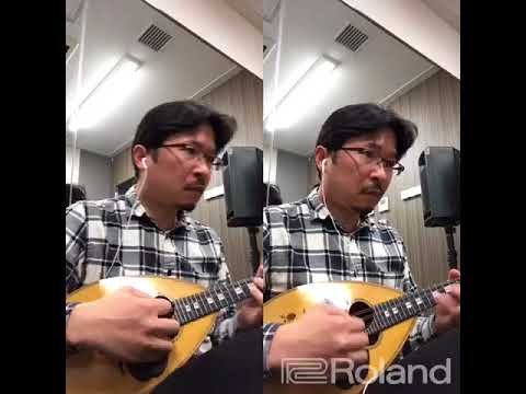 不協和音 欅坂46 マンドリン mandolin