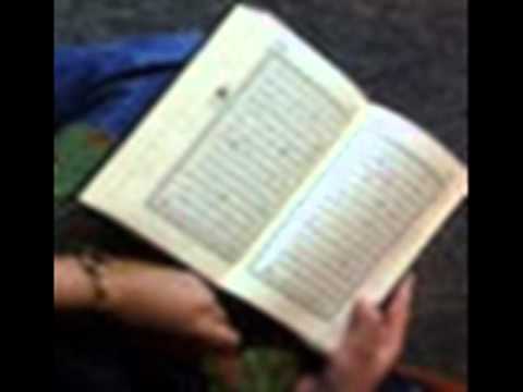 ربنا ياولى النعم