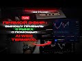 Результат LIVE-сессии: +2461$ → Трейдинг В Прямом Эфире / Pocket Option