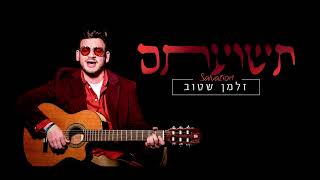 זלמן שטוב - תשועתם | Zalman Stub - Salvation