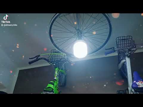 اكبر محل عجل في الدلتا فرع المصري 