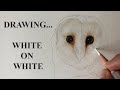 DRAW WITH ME | WHITE FUR ON WHITE PAPER |  REAL TIME COLOURED PENCIL