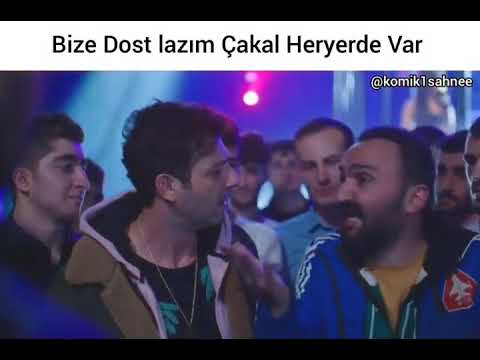 Bize dost lazim çakal heryerde var