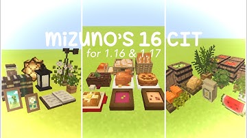 🍂 mizuno’s 16 CIT for mcpe/be 1.20 || how to use + full catalog💫✨