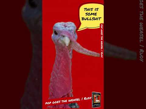 Pop Goes The Weasel | RUDY #countrymusic #texascountrymusic #texasmusic #texas #nashville