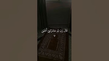 قرآن كريم راحة اجر لي ولكم #توعيه #اكسبلور #دويتو #اعتني #لايك #المراه #cat #اهميه #bts #حَوراء