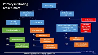 Emergency Imaging of Brain Tumors: Classification