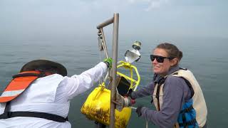 Maine-Bridge: Hands-On Externships for Maine Teachers! #stemlearning