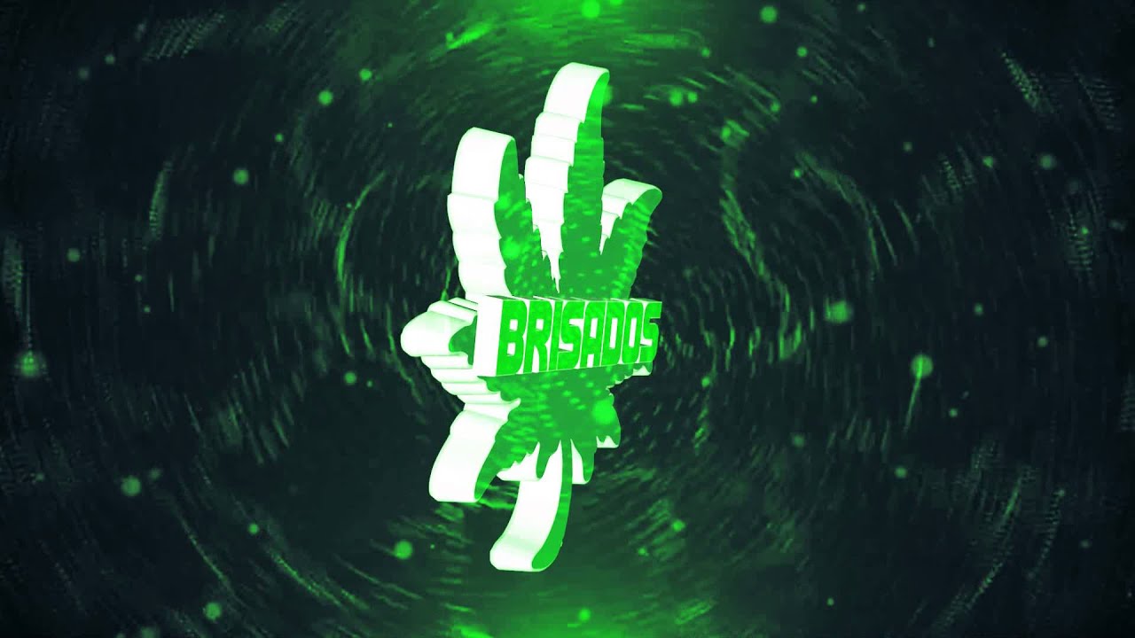 Intro #15 /Familia Brisados\