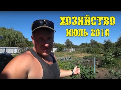 Наше подсобное хозяйство. Огород. Июль 2018 / Семья в деревне