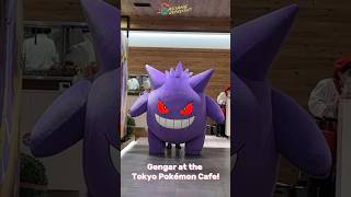 The Gengar show at the Tokyo Pokémon Cafe was so cute! #pokemon #japan #japantravel
The Gengar show at the Tokyo Pokémon Cafe was so cute! #pokemon #japan #japantravel The Gengar show at the Tokyo Pokémon Cafe was so cute! #pokemon #japan #japantravel