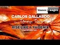 Carlos Gallardo Feat. Tenna Torres - Rise Like a Phoenix (Unstoppable Mix) Official Audio
