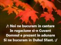 Cele mai frumoase momente din viata Negativ cu cuvinte