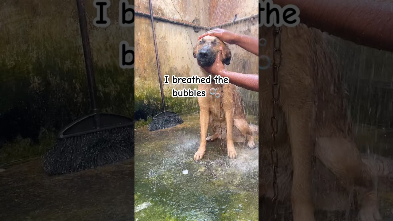 Умываю лицо медленно 😂 