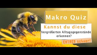 Kannst du diese enorm Vergrößerten ALLTAGSGEGENSTÄNDE erkennen? XTREME Challenge [Makro QuizII]