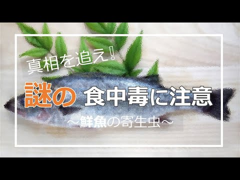 真相を追え！謎の食中毒に注意！（食品衛生 vol.3）