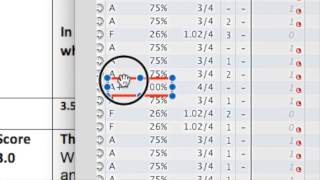 Understanding Standards Based Grading
