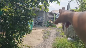 133m2 Đất ở Tại đô thị Thị trấn Cần Đước Long An Gần ngay trung tâm huyện cần đước giá1ty4