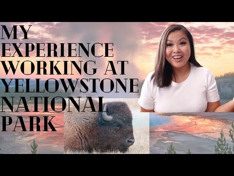 My Experience Working at Yellowstone National Park