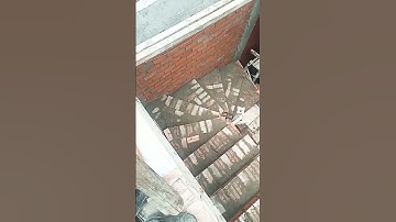 cách bố trí cầu thang lượn đẹp