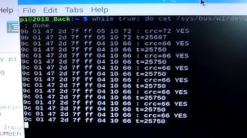INTERFACING DS18B20 TEMPERATURE SENSOR WITH RASP BERRY PI // WITHOUT PULL-UP RESISTOR PART TWO