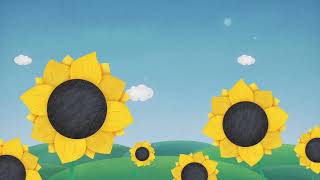 Summer Background &amp; Cartoon sunflower