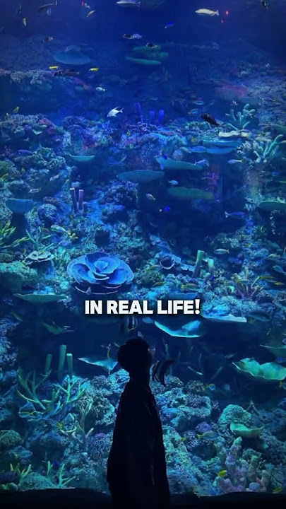 Download lagu Fix Vtuber pemberani siehhh@xSoutaa foto dari saluran ig souta#souta #vtuber