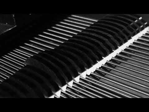 Camel - Air Born (instrumental backing track)