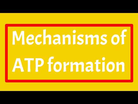 Mechanisms of ATP formation ll Substrate Level Phosphorylation ll Examples