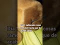 Haci estaré jaja
