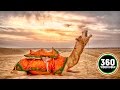 Kesariya Balam Padhoro Mare Desh 360 Video | 360 Video India