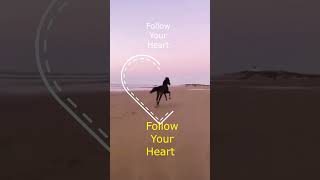 Follow Your Heart Video 1min Sample - DJ Quantum Mechanic #lifeisworthliving #remix #positivity