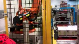 SH kuka palletizer
