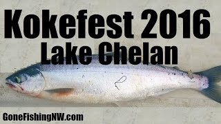 Kokefest 2016 -  Lake Chelan Kokanee Fishing