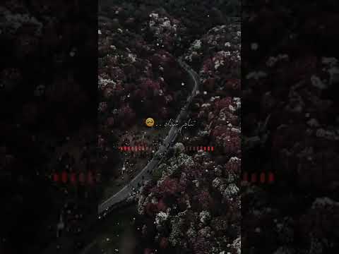 سريت بروحي ف يا سعد روحي حالات واتس اب ستوريات