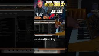 Muted Bass on the Moog! | My Moog Sub37 Signature Pack!|