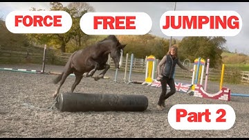 How to loose jump your horse. Fear Free Horse Training. introducing jumping.  Part 2