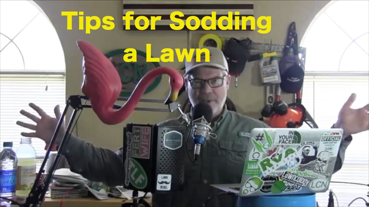How to help a Sodded Lawn Thrive | Tips for Sodding a Lawn 