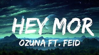 Плейлист || Озуна Фт. Feid - Hey Mor (Letra / Lyrics) || Вибрационная песня