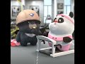 Pandas in gym shorts reels panda gym viral shorts