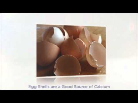 making homemade dog food | homemade dog food | homemade dog treats