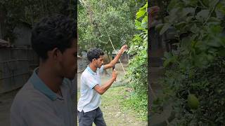 farming reel🍋😍 #song #farming #khetibadi #dailyshorts #virulshorts