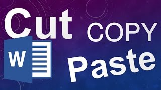 Celebrity 1 Cut, Copy and Paste Net Worth