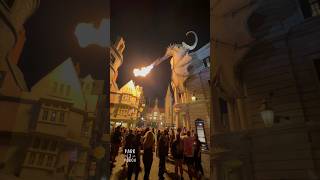 Fire Breathing Dragon in Diagon Alley | Harry Potter Universal Orlando | 4K